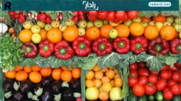 الكوسة بـ5.. تعرف على أحدث أسعار الخضروات والفاكهة في السوق اليوم الأربعاء 12 نوفمبر 2025